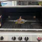 AFTER BBQ Renew Cleaning & Repair in Anaheim 3-7-2018